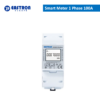 Smart Meter 1 Phase 100A