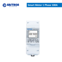 Smart Meter 1 Phase 100A